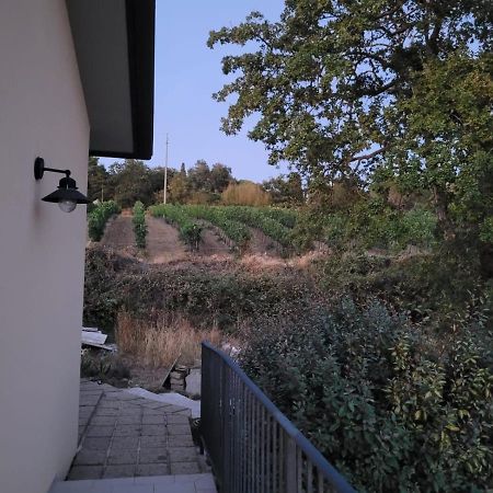 La Residenza Di Campagna Vendégház Manciano Kültér fotó