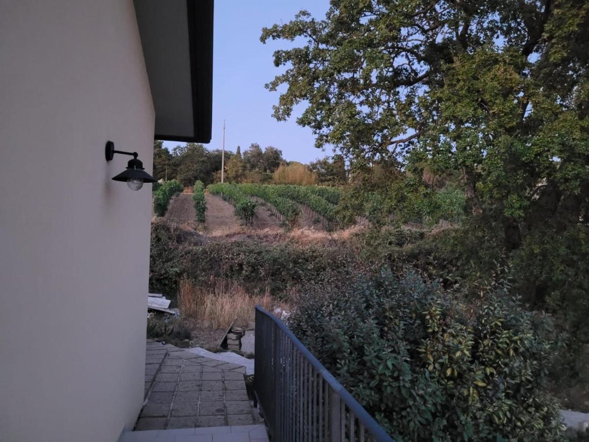 La Residenza Di Campagna Vendégház Manciano Kültér fotó