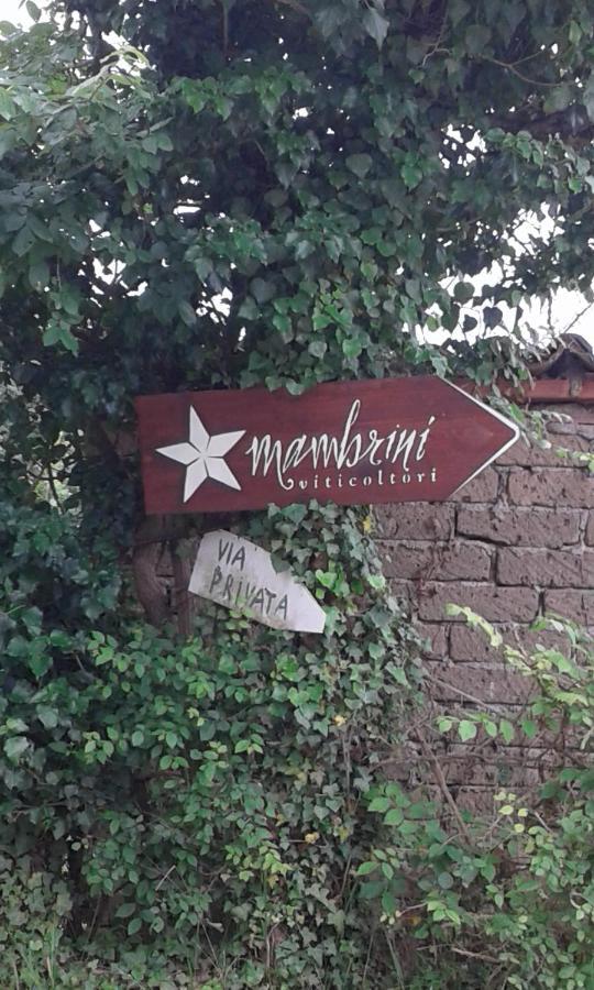 La Residenza Di Campagna Vendégház Manciano Kültér fotó