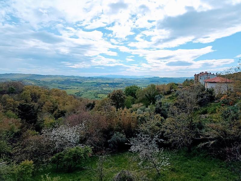 La Residenza Di Campagna Vendégház Manciano Kültér fotó